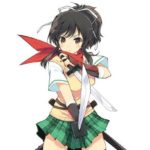 閃乱カグラの飛鳥ちゃんという土属性の主人公