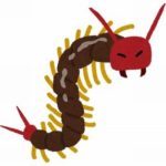 【閲覧注意】ワイの好きなムカデで打線組んだ
