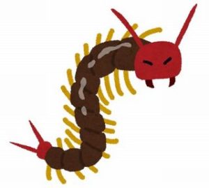 【閲覧注意】ワイの好きなムカデで打線組んだ