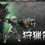 【悲報】モンハンユーザーの7割、笛の存在意義がわからない模様