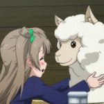 アルパカさん、暑さ対策の為に毛刈りされて無残な姿になる