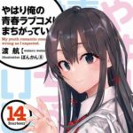 【俺ガイル】『やはり俺の青春ラブコメはまちがっている。』、完結する【14巻ネタバレあり】