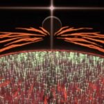 女「エヴァの大ファンです！」ワイ「ゼーレと碇ゲンドウが目指す人類補完計画の相違点を述べよ」