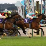 JRA「無敗の三冠馬2頭誕生!G1最多勝馬誕生!歴史に残る3週間やああ!」一般人「そう…」