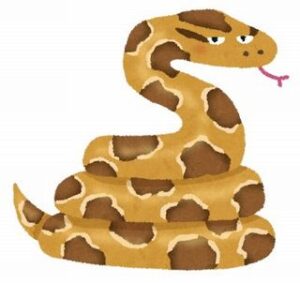 ニシキヘビが今ネットで調べてそうなこと