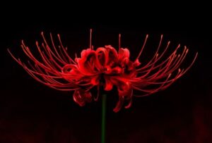 【朗報】彼岸島、芥川賞受賞