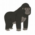 彡(^)(^)「ねえねえワイのIDにDKって入っとる！ゴリラやで！！」