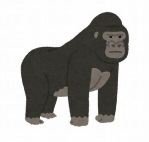 彡(^)(^)「ねえねえワイのIDにDKって入っとる！ゴリラやで！！」