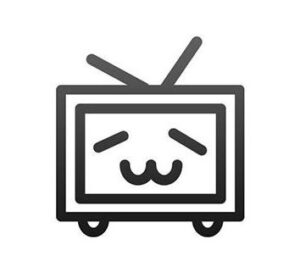 2010年「ビリビリ動画とかいうニコニコのパクリサイトができたらしいぞｗ」