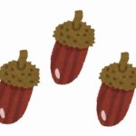 彡(●)(●)「次回からどんぐり消した方がいいよ、世界観壊れる」