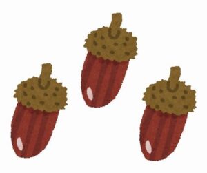 彡(●)(●)「次回からどんぐり消した方がいいよ、世界観壊れる」