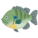 昔の人「ブルーギル食用で輸入したろ!」「ジャンボタニシ食用で輸入したろ!」