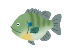 昔の人「ブルーギル食用で輸入したろ！」「ジャンボタニシ食用で輸入したろ！」